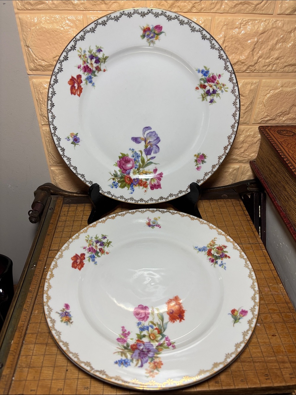 2 Heinrich Germany Dinner Plates 10 1/8” D Iris, Poppy w Mixed Floral